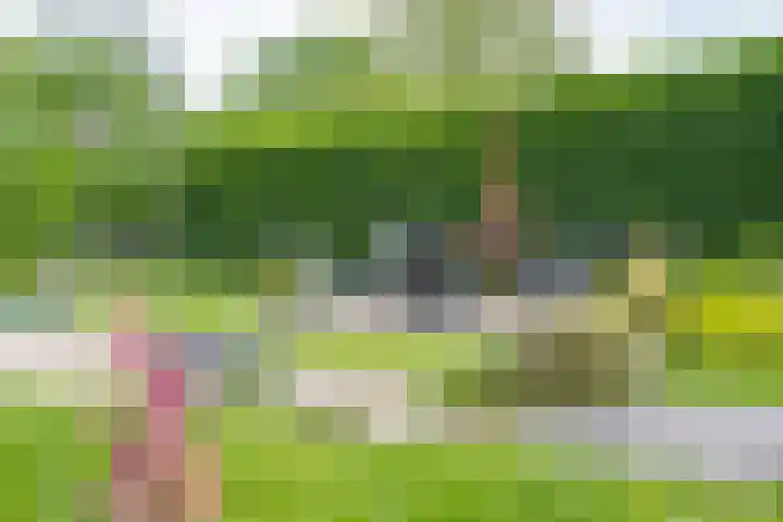 Delakkerstraat 7 Zoelen thumbnail 43
