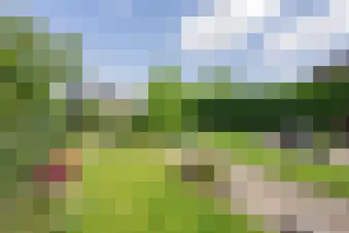 Delakkerstraat 7 Zoelen thumbnail 44
