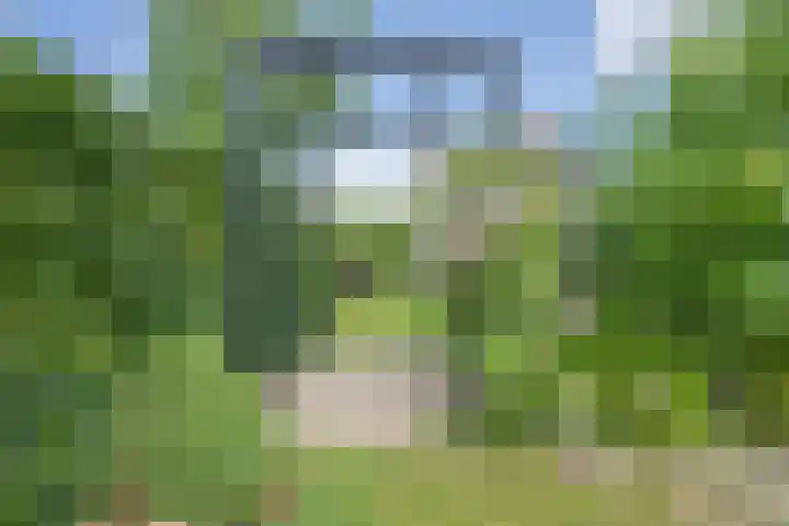Delakkerstraat 7 Zoelen thumbnail 45