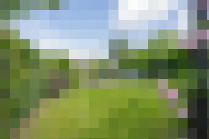Delakkerstraat 7 Zoelen thumbnail 46
