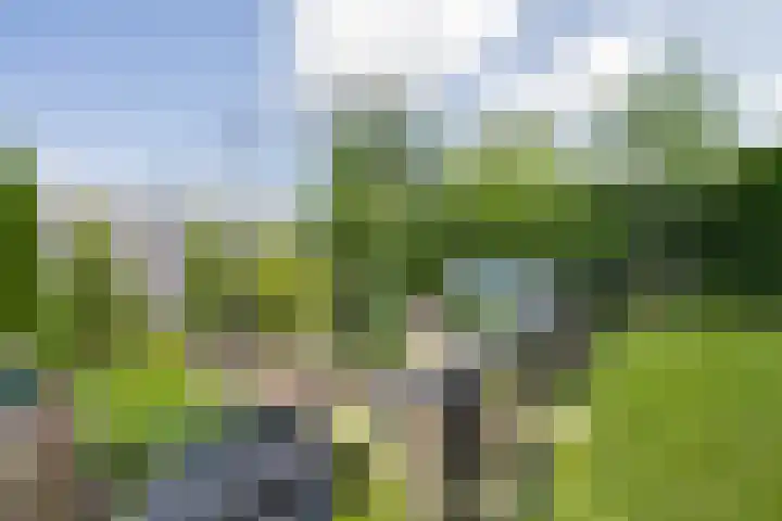 Delakkerstraat 7 Zoelen thumbnail 47