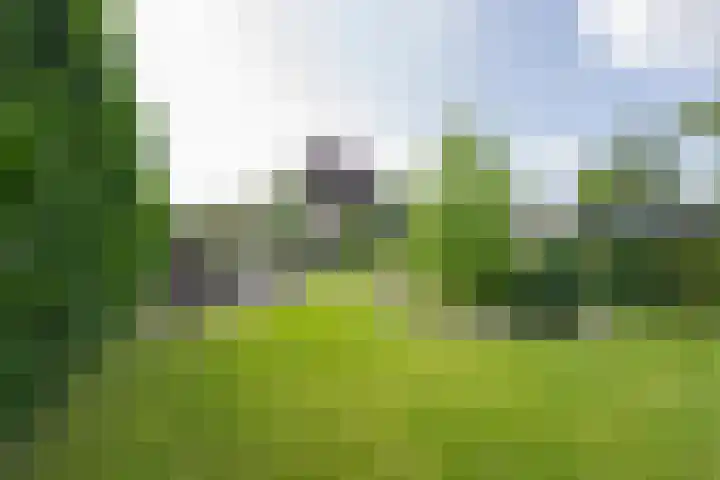 Delakkerstraat 7 Zoelen thumbnail 48