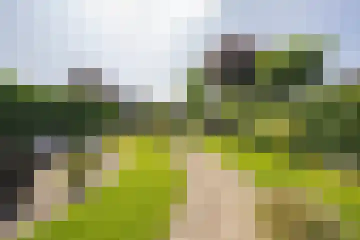 Delakkerstraat 7 Zoelen thumbnail 49