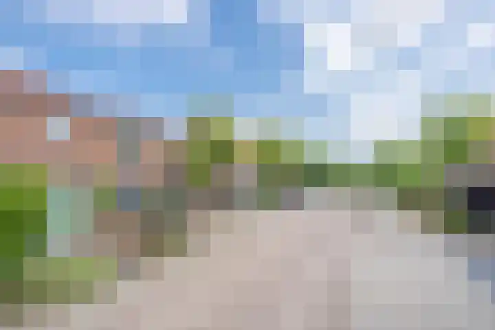 Delakkerstraat 7 Zoelen thumbnail 5