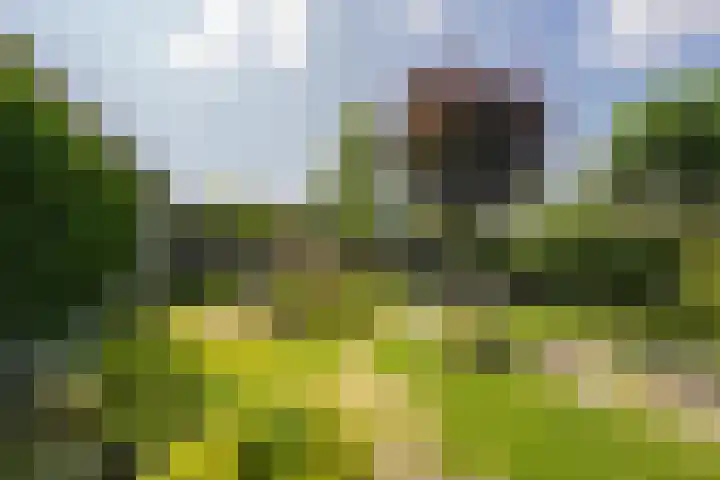 Delakkerstraat 7 Zoelen thumbnail 50