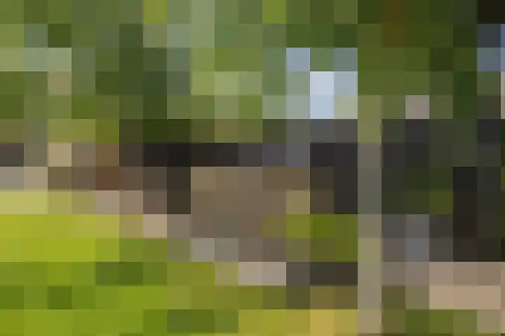 Delakkerstraat 7 Zoelen thumbnail 51