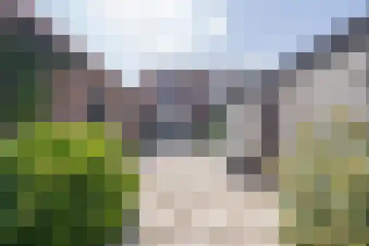 Delakkerstraat 7 Zoelen thumbnail 52