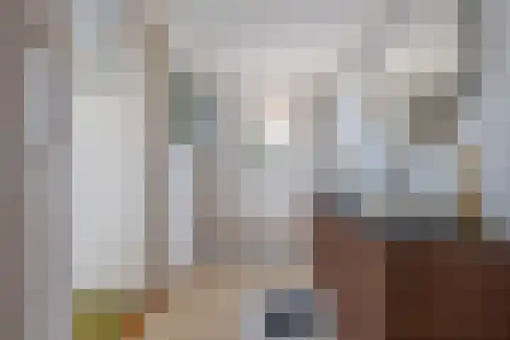 Delakkerstraat 7 Zoelen thumbnail 53