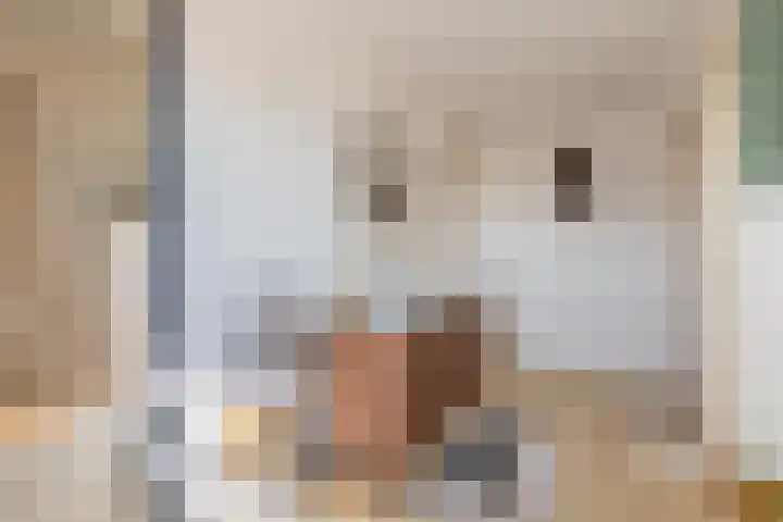 Delakkerstraat 7 Zoelen thumbnail 55