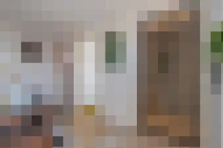 Delakkerstraat 7 Zoelen thumbnail 56