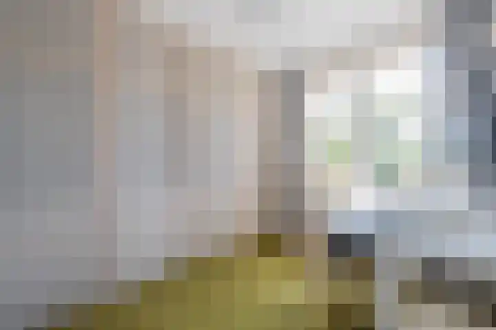 Delakkerstraat 7 Zoelen thumbnail 59