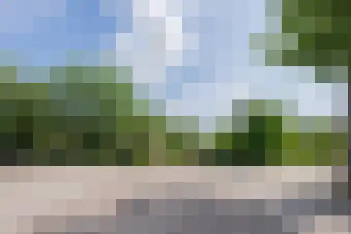 Delakkerstraat 7 Zoelen thumbnail 6