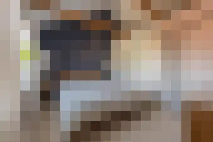 Delakkerstraat 7 Zoelen thumbnail 60