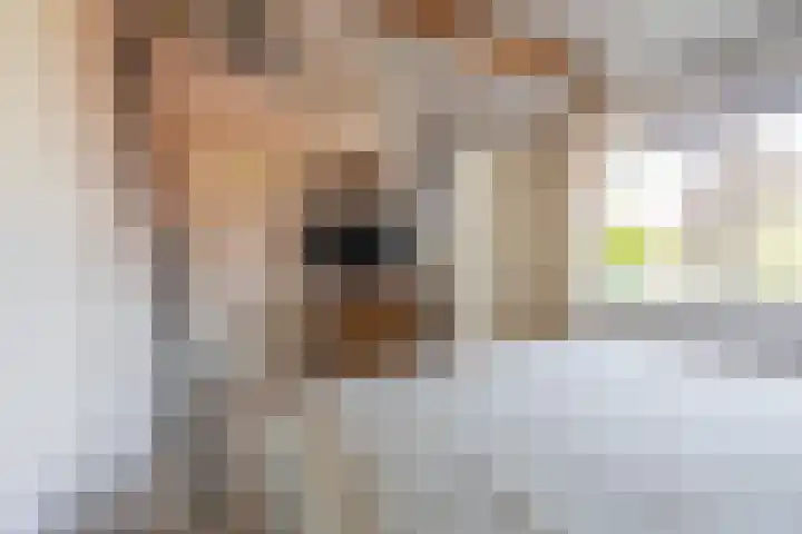 Delakkerstraat 7 Zoelen thumbnail 61