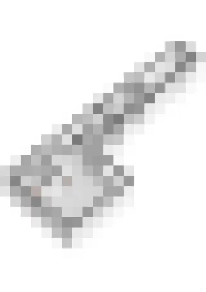 Delakkerstraat 7 Zoelen thumbnail 69