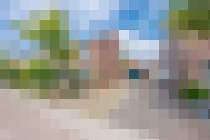 Delakkerstraat 7 Zoelen thumbnail 7