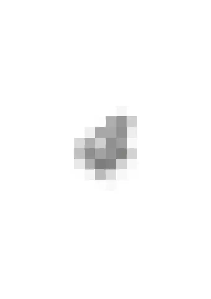 Delakkerstraat 7 Zoelen thumbnail 73