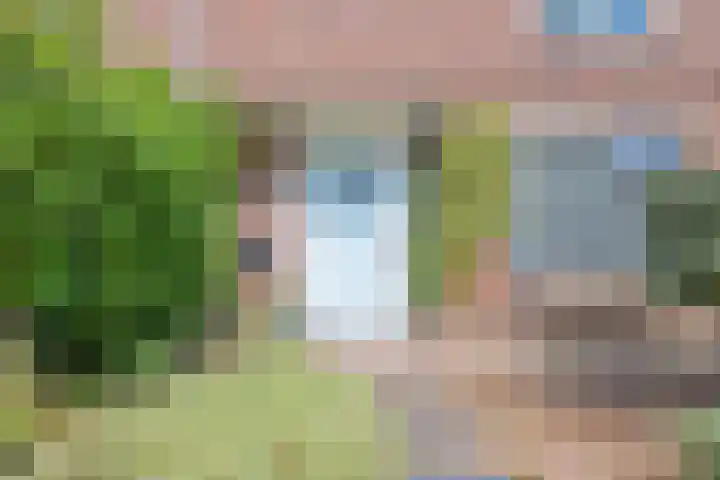 Delakkerstraat 7 Zoelen thumbnail 8