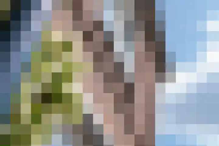 Delakkerstraat 7 Zoelen thumbnail 9