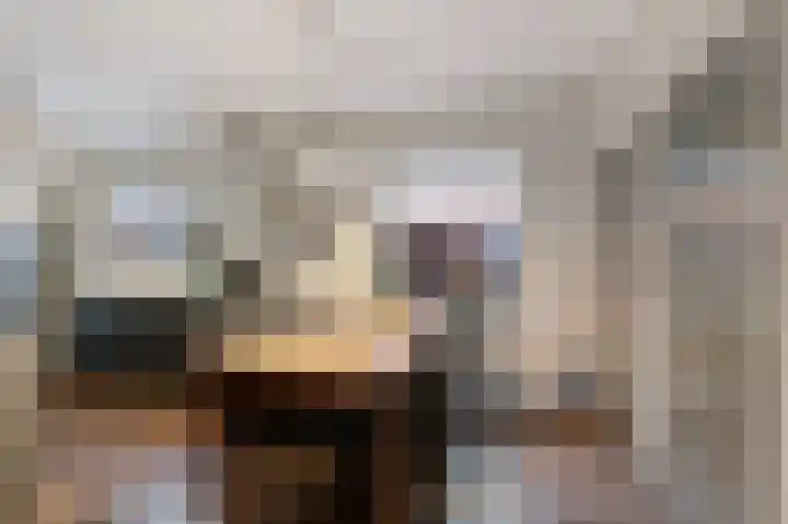 Delbuursterweg 15 Sondel thumbnail 11