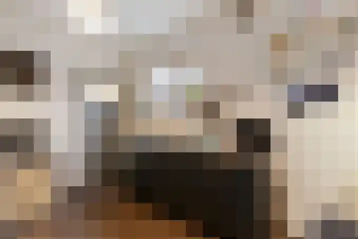 Delbuursterweg 15 Sondel thumbnail 12