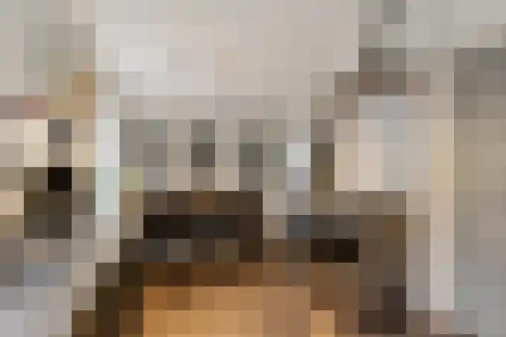 Delbuursterweg 15 Sondel thumbnail 14
