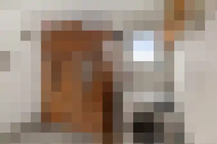 Delbuursterweg 15 Sondel thumbnail 16