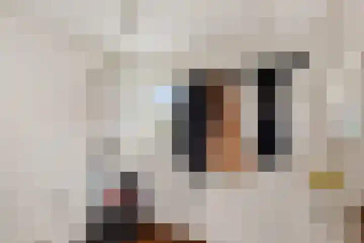 Delbuursterweg 15 Sondel thumbnail 17