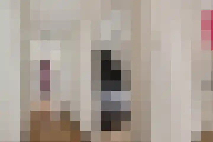 Delbuursterweg 15 Sondel thumbnail 22