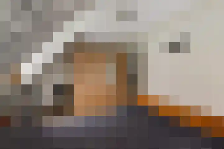 Delbuursterweg 15 Sondel thumbnail 28