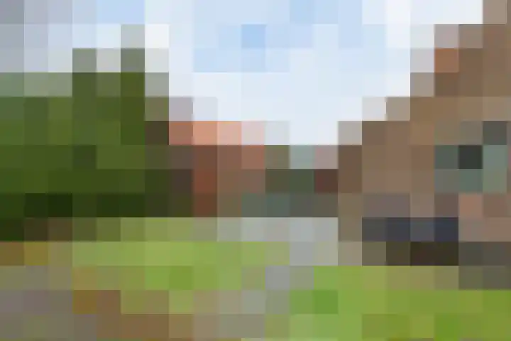 Delbuursterweg 15 Sondel thumbnail 33