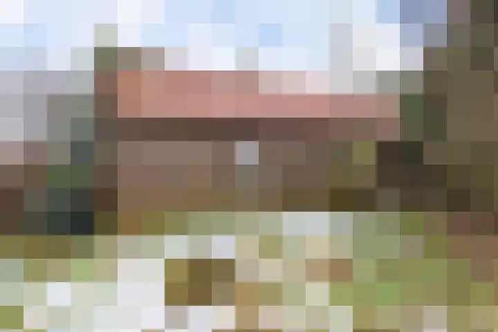 Delbuursterweg 15 Sondel thumbnail 35
