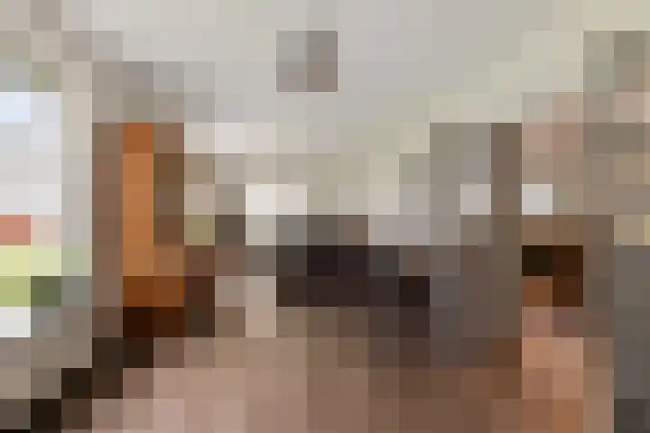 Delbuursterweg 15 Sondel thumbnail 4