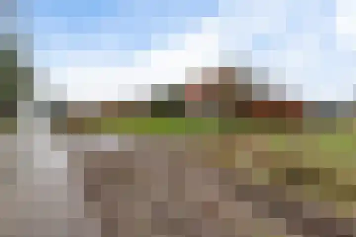 Delbuursterweg 15 Sondel thumbnail 43