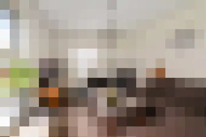 Delbuursterweg 15 Sondel thumbnail 5