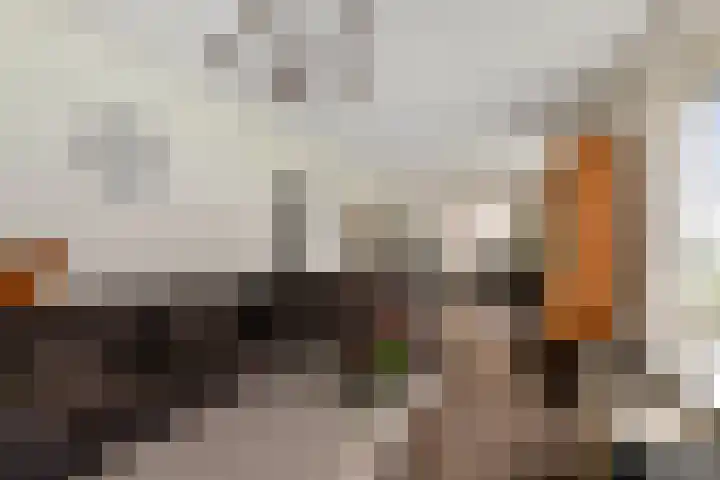 Delbuursterweg 15 Sondel thumbnail 6