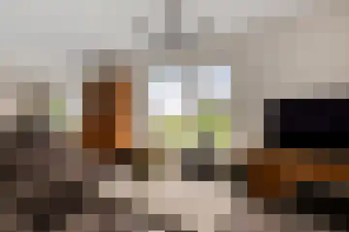 Delbuursterweg 15 Sondel thumbnail 7