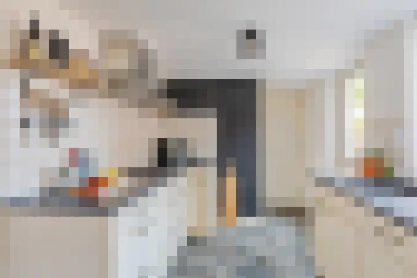 Deldenerstraat 184 Hengelo thumbnail 12