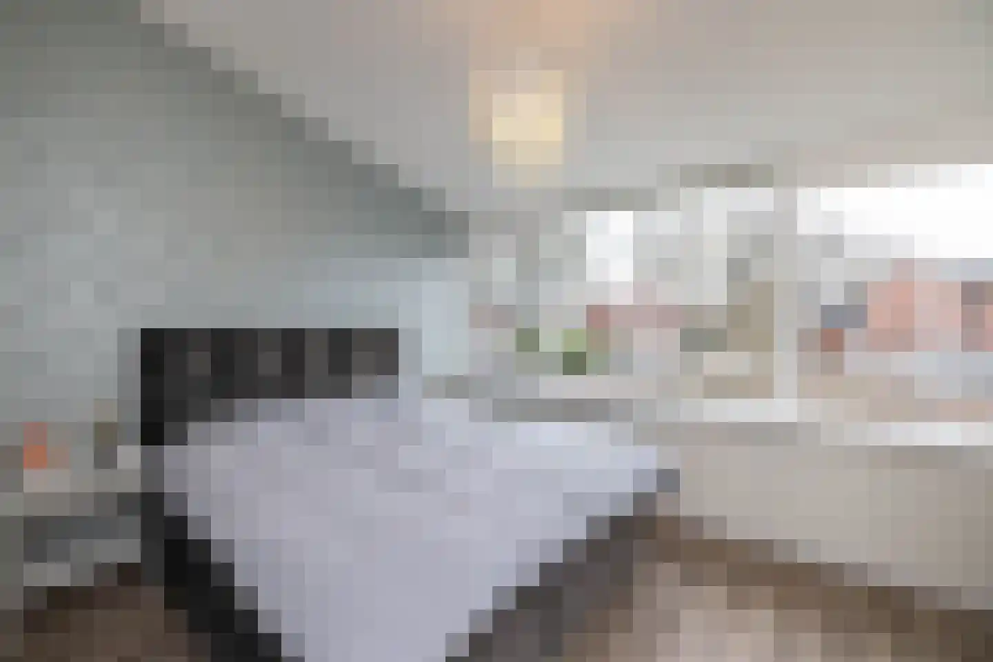 Deldenerstraat 221 Hengelo thumbnail 23