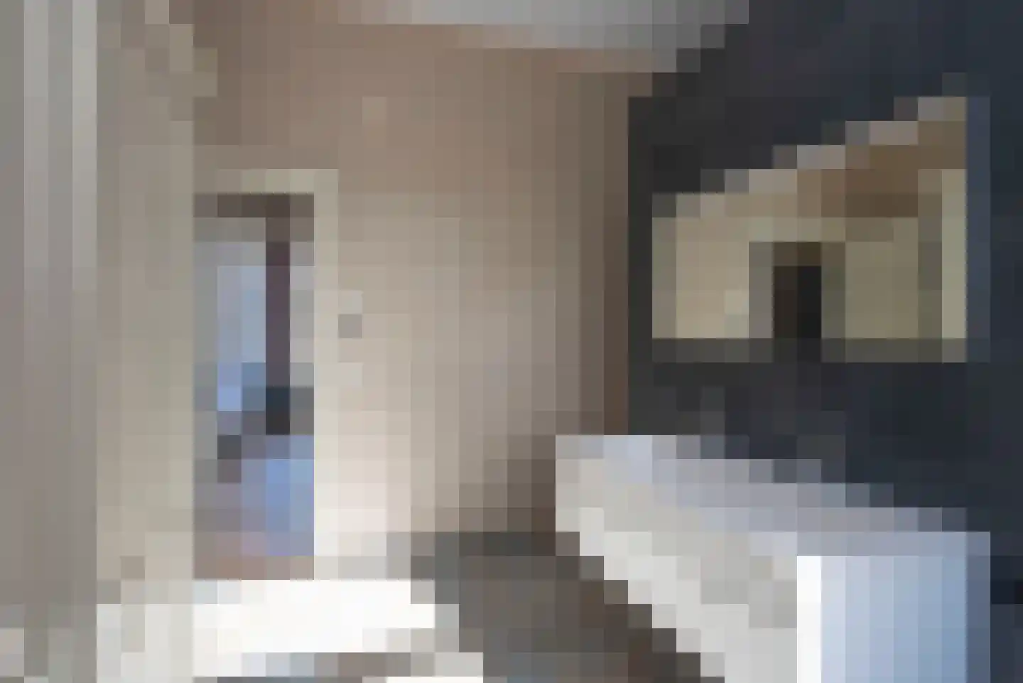 Deldenerstraat 71 Hengelo thumbnail 35