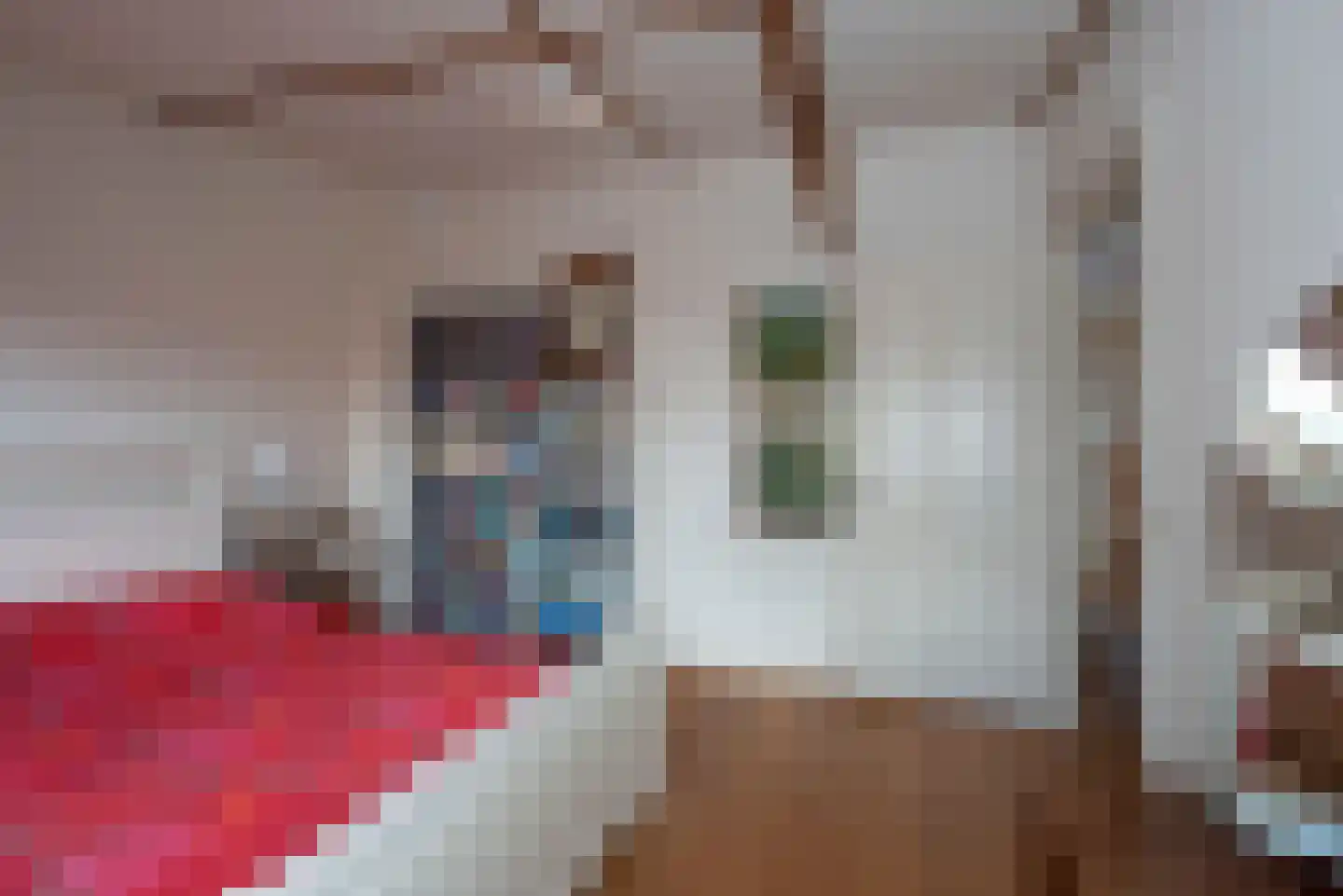 Deldenerstraat 71 Hengelo thumbnail 57