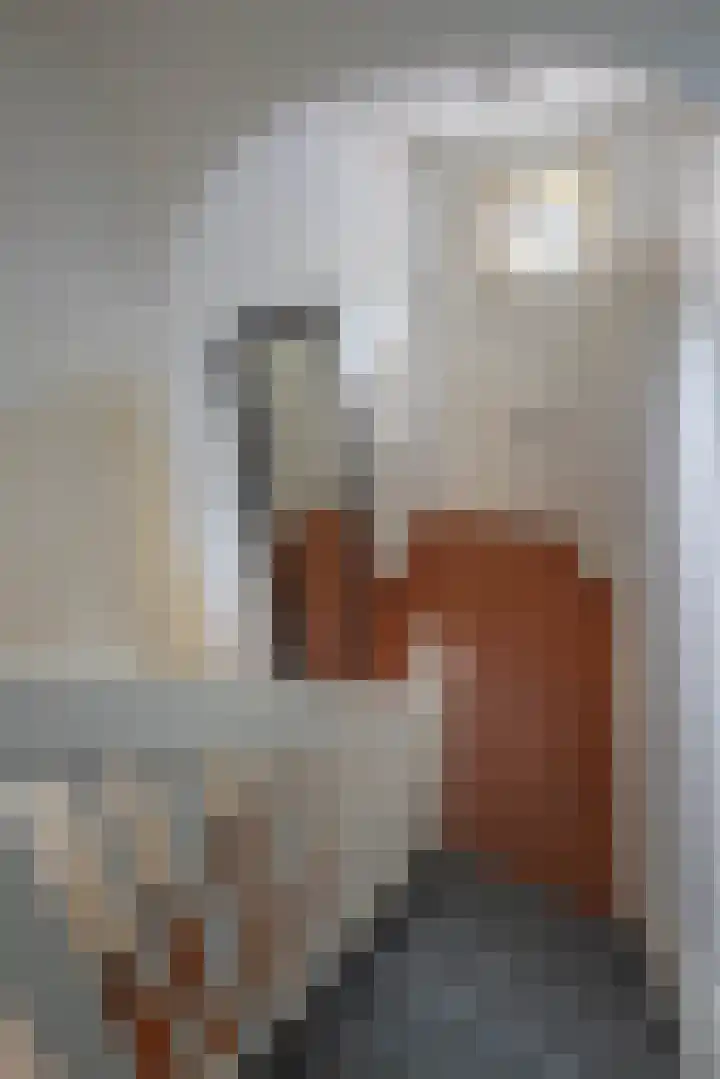 Deldenerstraat 86 Hengelo thumbnail 19