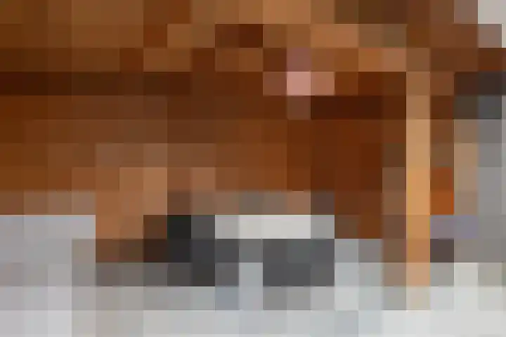 Deldenerstraat 86 Hengelo thumbnail 33