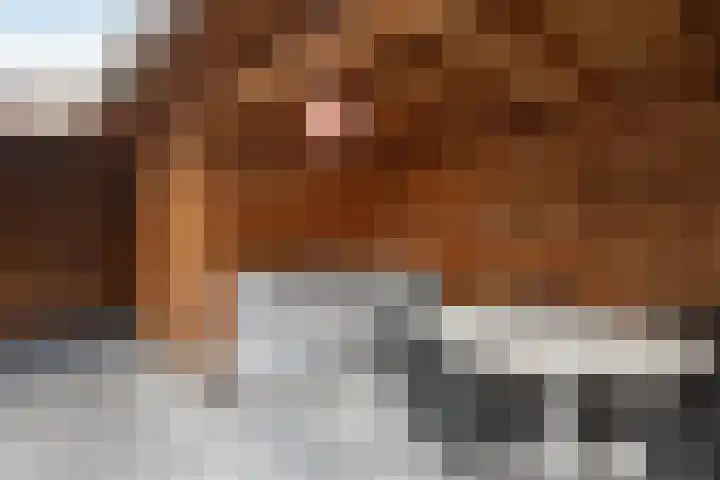 Deldenerstraat 86 Hengelo thumbnail 34