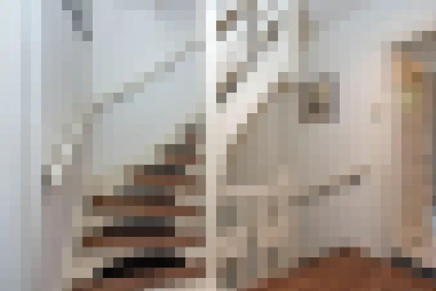 Deldenerstraat 96 Hengelo thumbnail 33