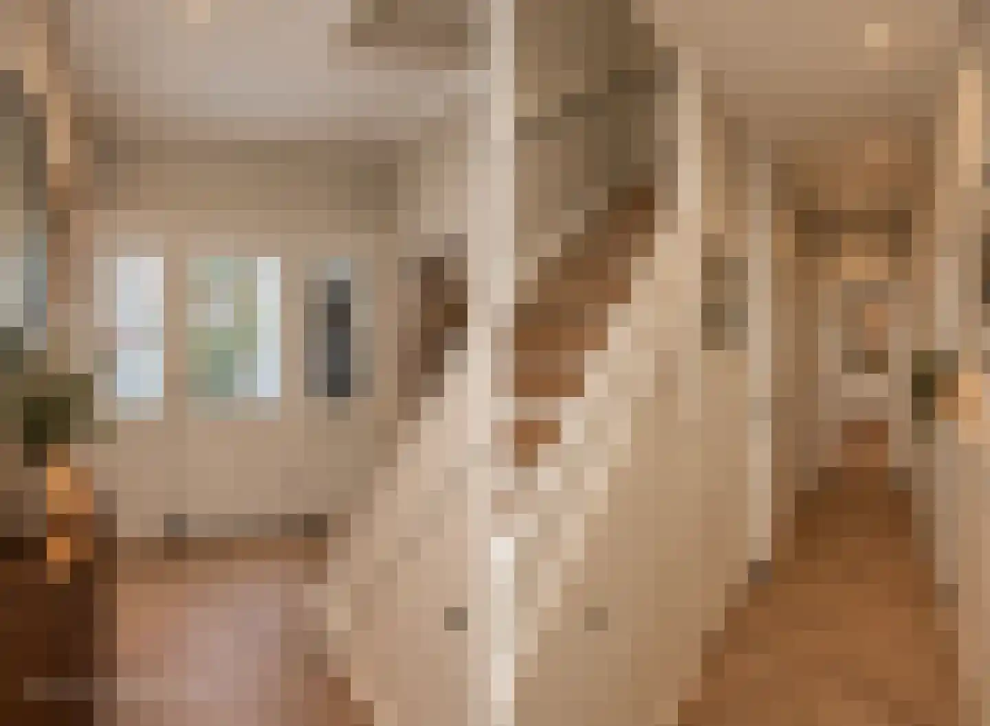 Deldenerstraat 96 Hengelo thumbnail 9