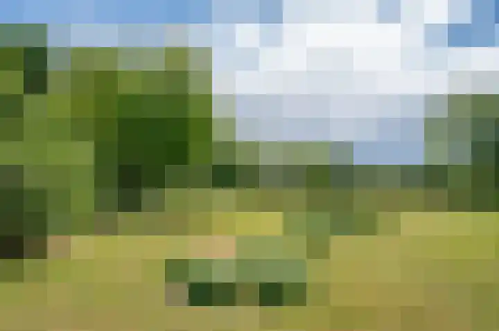 Deldensebroekweg 11 Vorden thumbnail 10