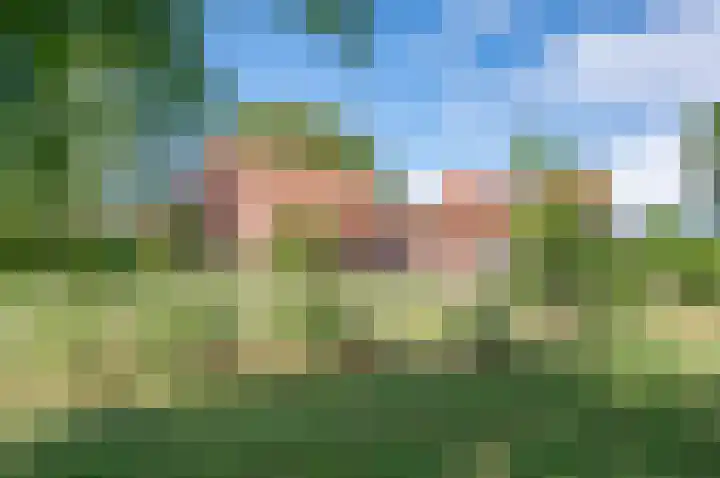 Deldensebroekweg 11 Vorden thumbnail 11