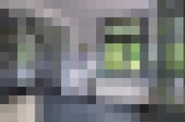 Deldensebroekweg 11 Vorden thumbnail 16