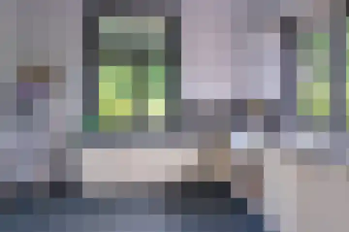 Deldensebroekweg 11 Vorden thumbnail 17